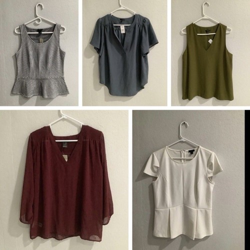 Ann taylor loft - taylor/loft, bundle